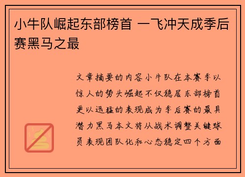 小牛队崛起东部榜首 一飞冲天成季后赛黑马之最